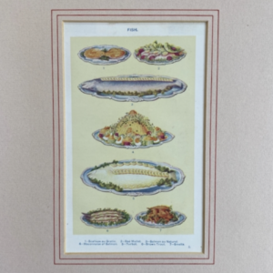 Antiker Druck Fisch um 1920 original