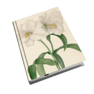 Notizbuch A6 LILIUM - Botanical Garden aus Schottland