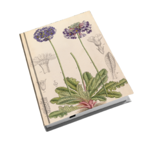 Notizbuch A6 PRIMEL - Botanical Garden aus Schottland