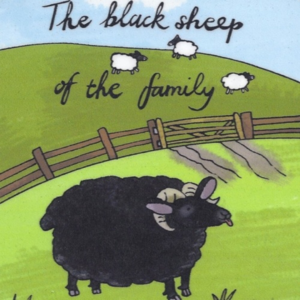 Untersetzer Schottland Sheep Black Sheep