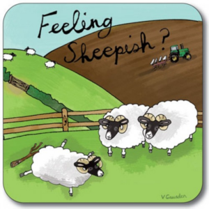 Untersetzer Schottland Schafe Feeling Sheepish