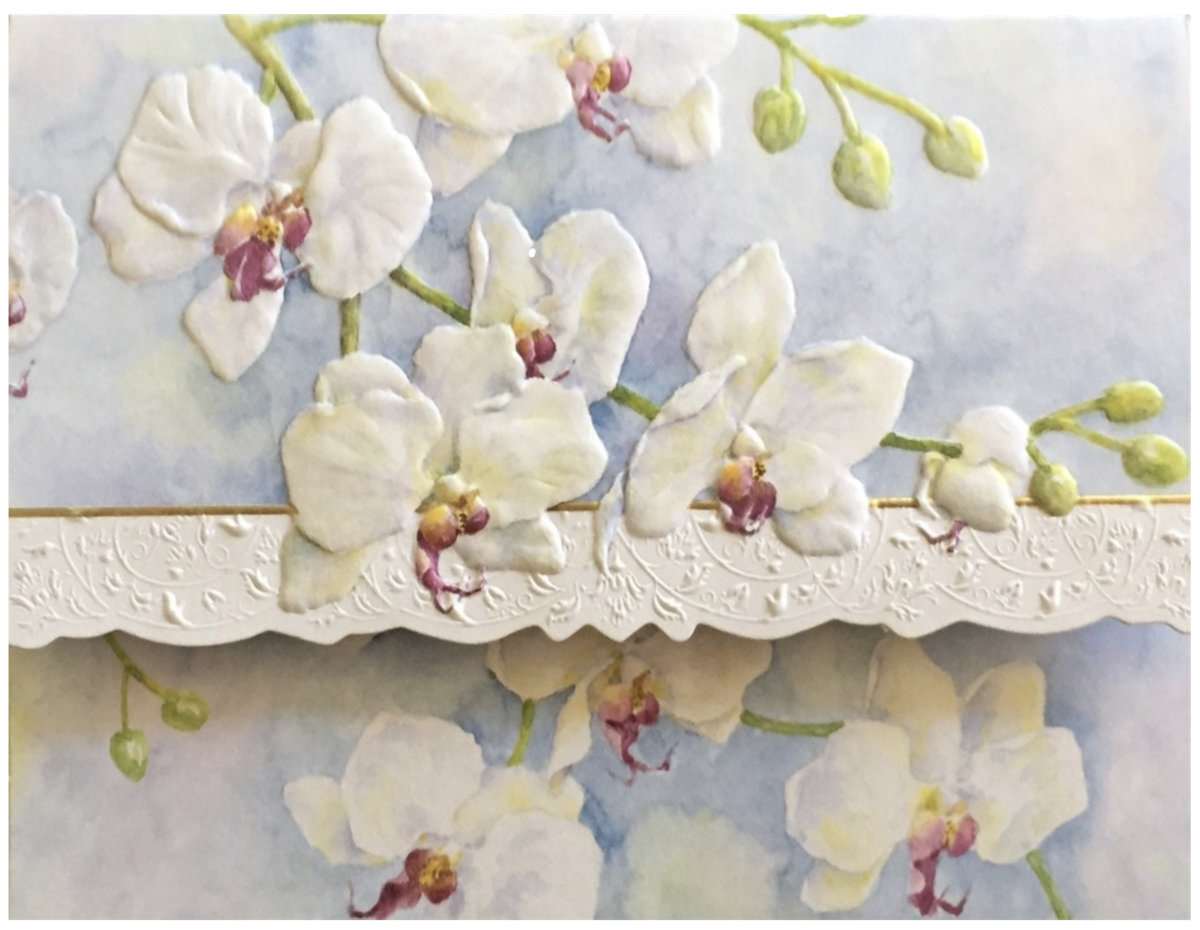 Carol Wilson Karten: White Orchids (Weiße Orchideen)