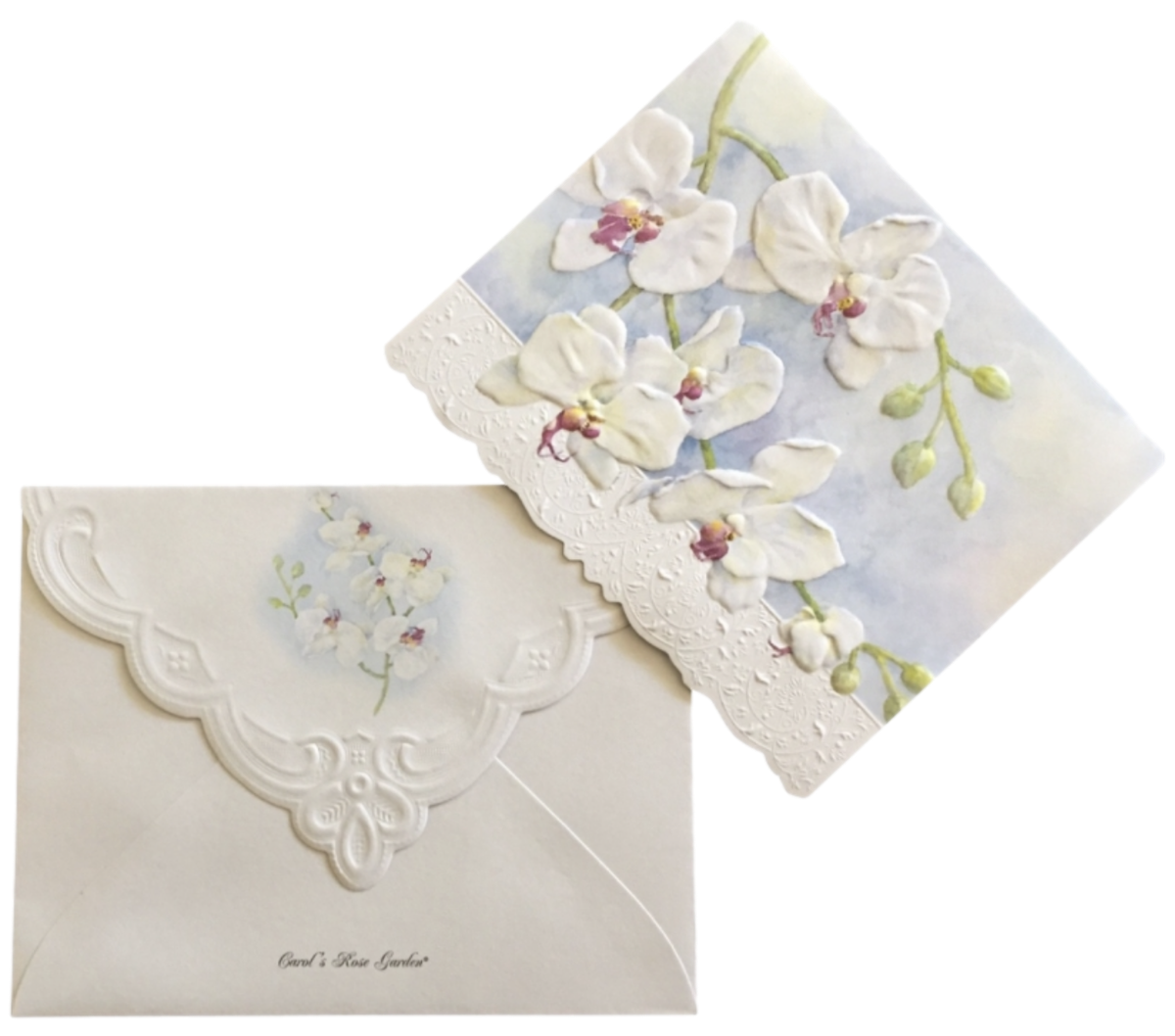 Carol Wilson Karten: White Orchids (Weiße Orchideen)