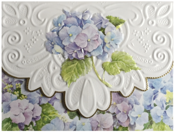 Karton leicht beschädigt - Carol Wilson Karten: Hydrangea (Hortensie)