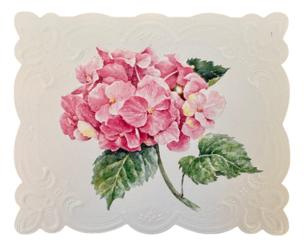 Briefkartenset von Carol Wilson - "Pink Hydrangea" - Rosa Hortensien