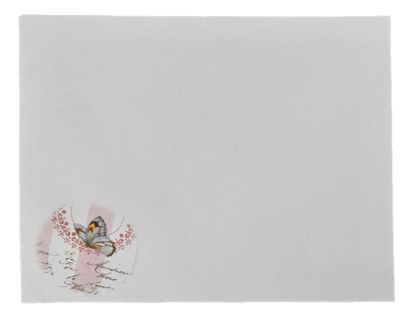 Briefkartenset von Carol Wilson - "Hummingbird Pink" - Rosa Kolibri