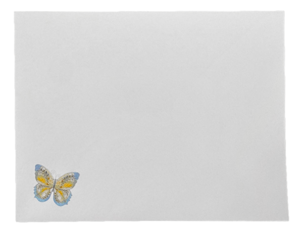 Briefkartenset von Carol Wilson - "Blue Gingham Daisy" - Gänseblümchen auf blauem Karo