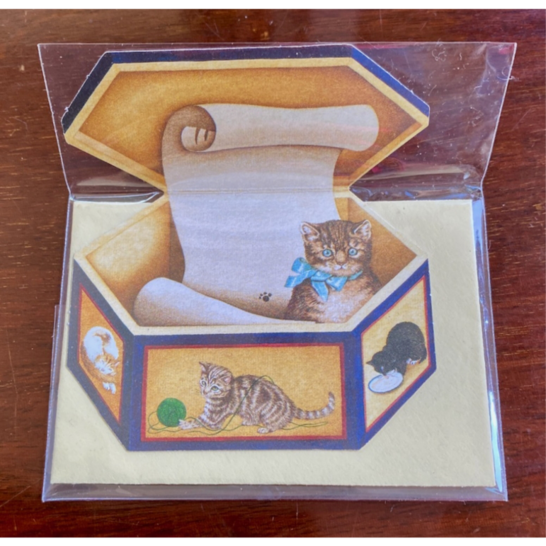 Minikarte Katzenbox aus England