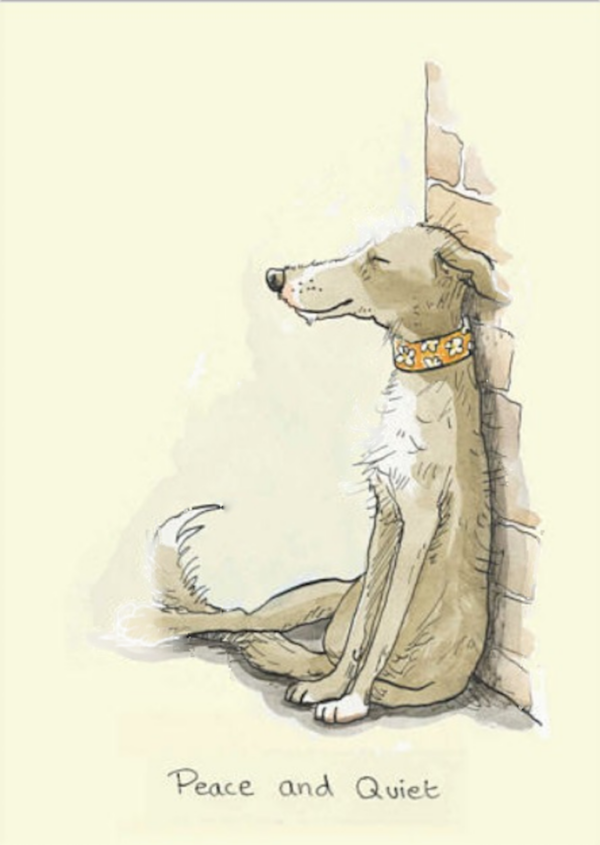 Karte HUND - Peace and Quiet Anita Jeram von Two Bad Mice