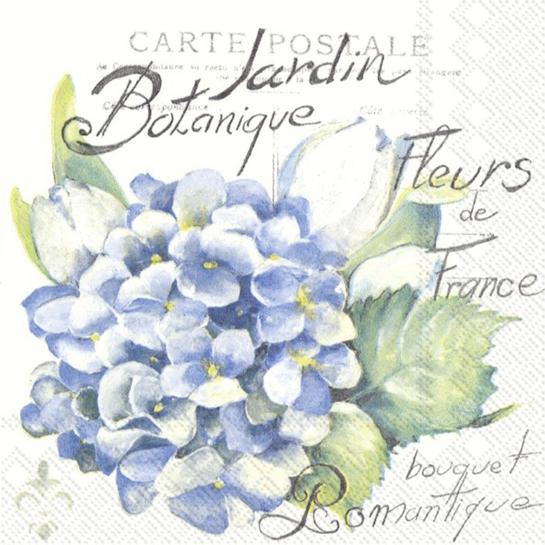 Cocktail Servietten von IHR - JARDIN BOTANIQUE Hortensie blau