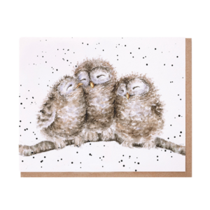 Karte Tiere EULEN Owl together von Wrendale Designs