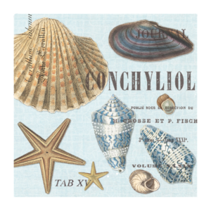 Servietten SEASHELLS von Michel Design Works