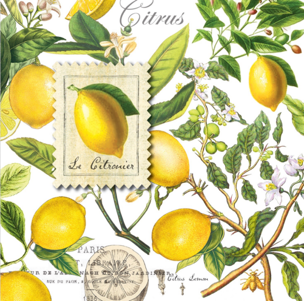 Servietten LEMON BASIL von Michel Design Works