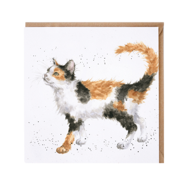 Karte Tiere KATZE Calico von Wrendale Designs aus England