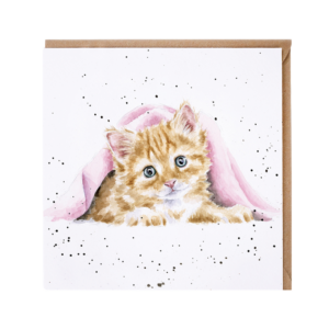 Karte Tiere KATZE Duvet Day von Wrendale Designs aus England