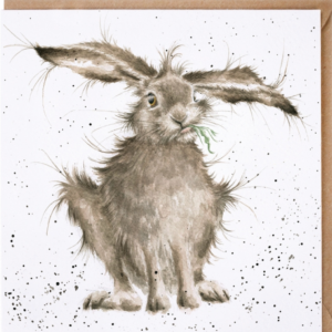 Karte Tiere HASE Hare brained von Wrendale Designs aus England