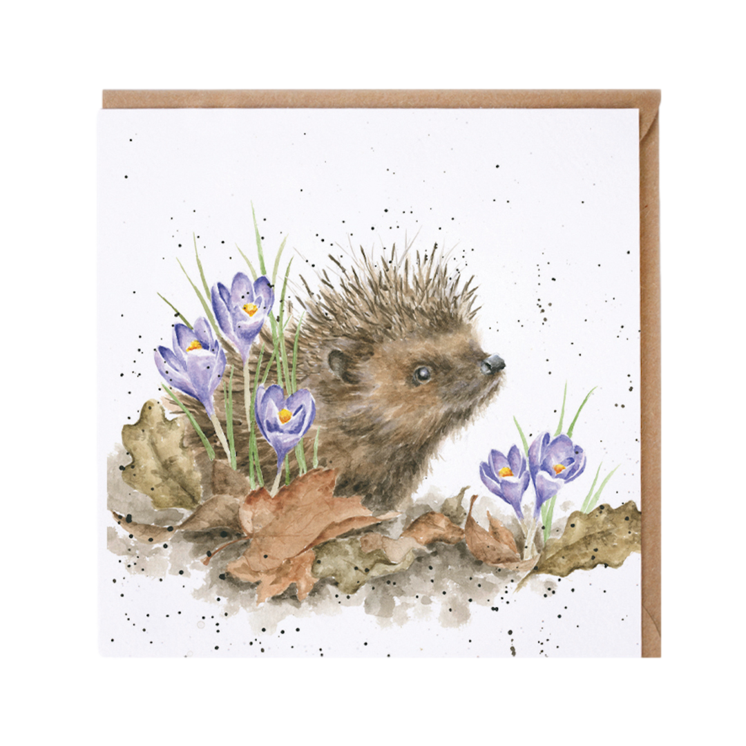 Karte Tiere IGEL New beginnings von Wrendale Designs aus England