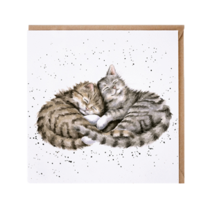 Karte Tiere KATZEN Sweet dreams von Wrendale Designs aus England