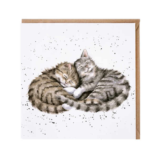 Karte Tiere KATZEN Sweet dreams von Wrendale Designs aus England