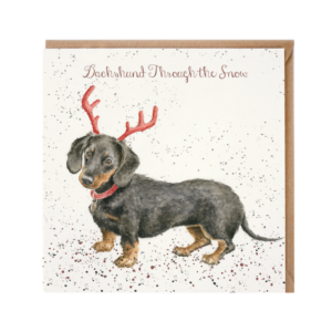 Karte Christmas Dachshound snow HUND Dackel von Wrendale Designs aus England