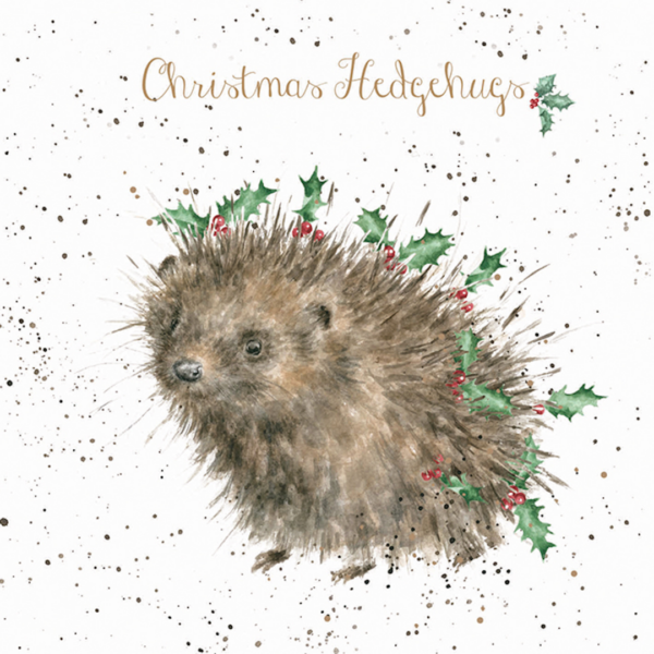 Kartenset Christmas IGEL von Wrendale Designs aus England