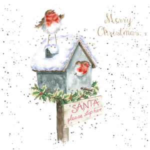 Kartenset Christmas ROTKEHLCHEN Please stop here von Wrendale Designs aus England