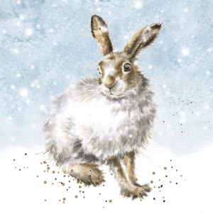 Kartenset Christmas HASE Winter Hare von Wrendale Designs aus England