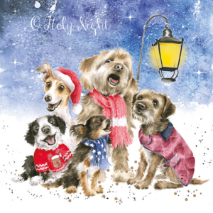 Kartenset Christmas HUNDE Oh holy night von Wrendale Designs aus England