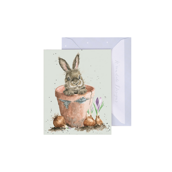 Minikarte KANINCHEN Flower pot von Wrendale Designs aus England