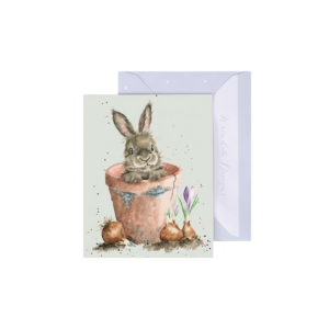 Minikarte KANINCHEN Flower pot von Wrendale Designs aus England