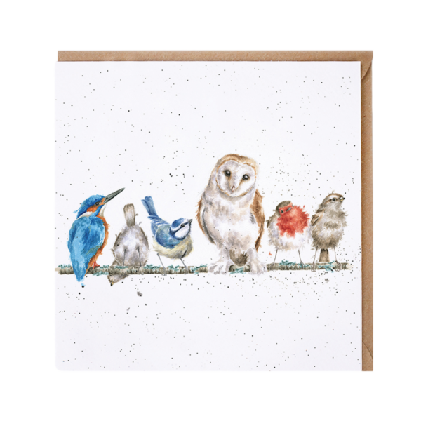 Karte Tiere VÖGEL The variety of life von Wrendale Designs