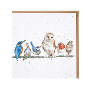 Karte Tiere VÖGEL The variety of life von Wrendale Designs