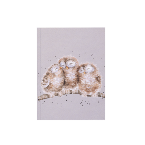 Notizheft A6 Owlets - Wrendale Designs